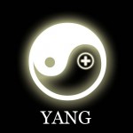 Yang Icon